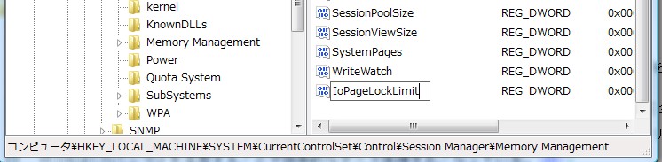 「IoPageLockLimit」